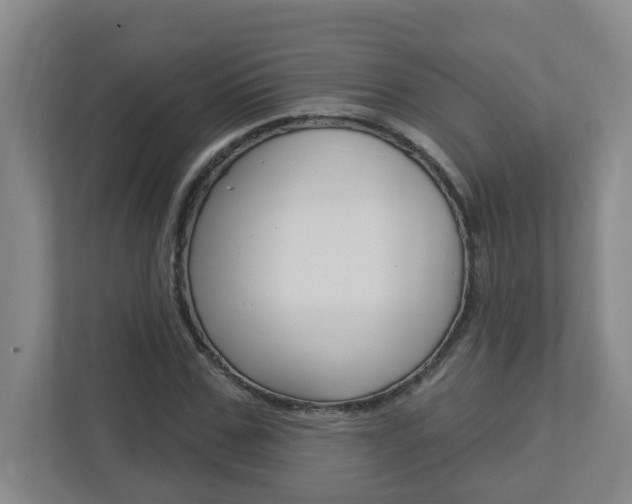 X0000112720971200908200943
