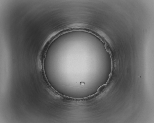X0000112720973200908200943
