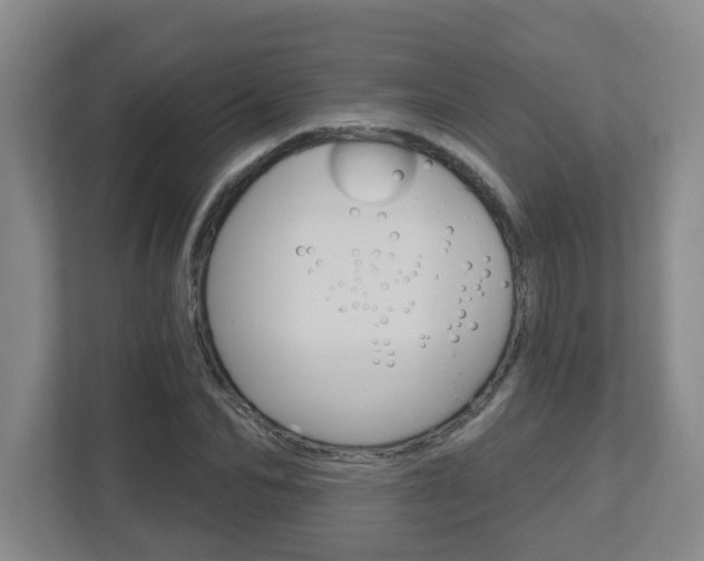 X0000112720974200908200943