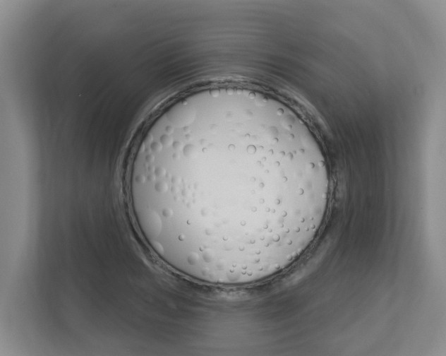 X0000112720978200908200943