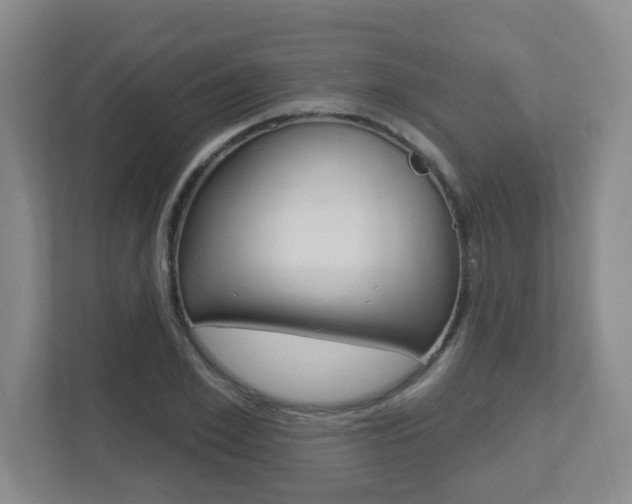 X0000112720981200908200943