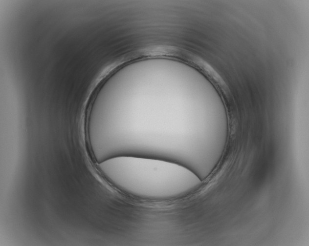 X0000112720986200908200943