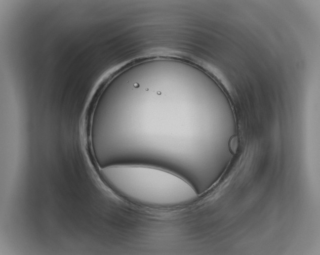 X0000112720987200908200943