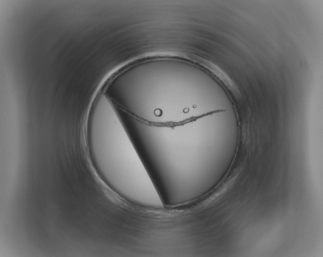 X0000112720988200908200943