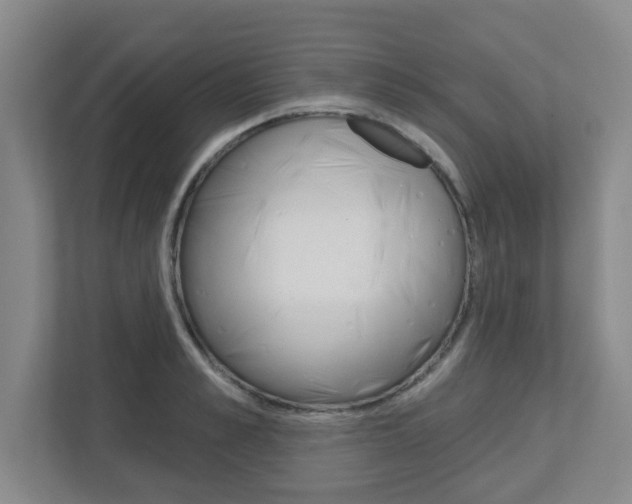 X0000112720989200908200943
