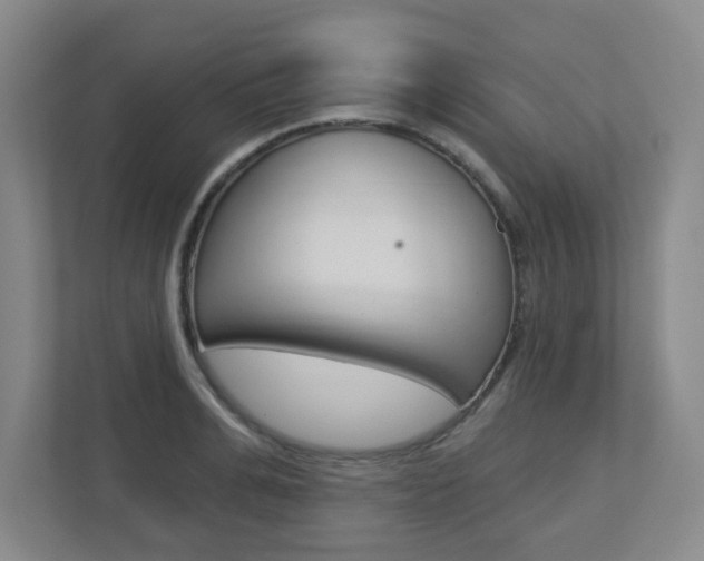 X0000112720991200908200943