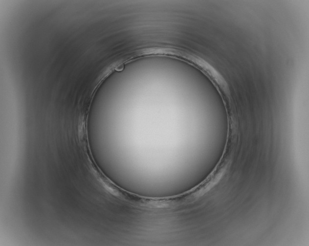X0000112720993200908200943