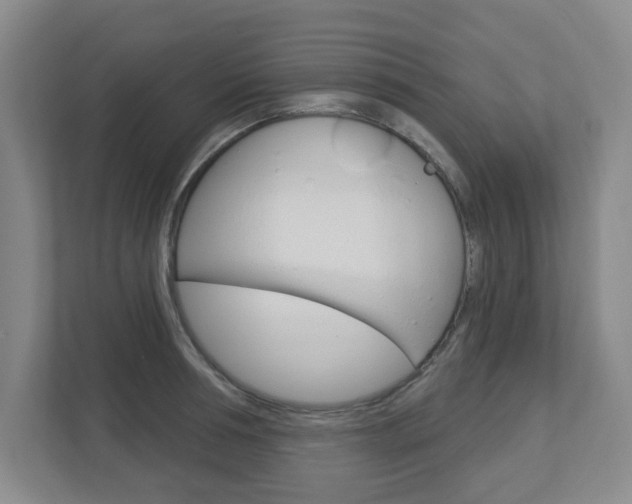 X0000112720994200908200943