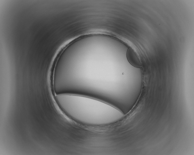 X0000112720995200908200943