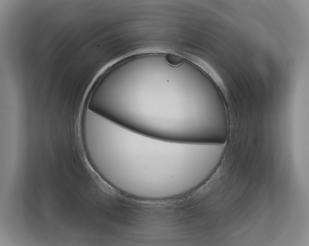 X0000112720996200908200943