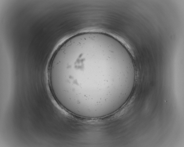 X0000112720998200908200943
