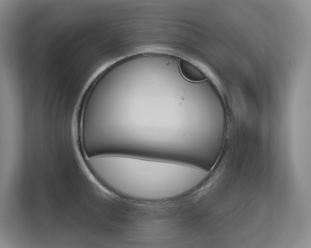 X0000112720999200908200943