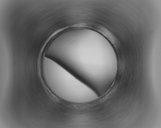 X0000112721000200908200943
