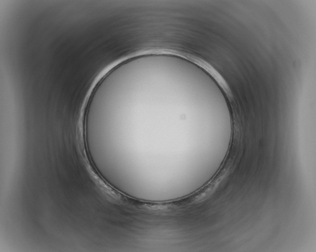 X0000112721004200908200943