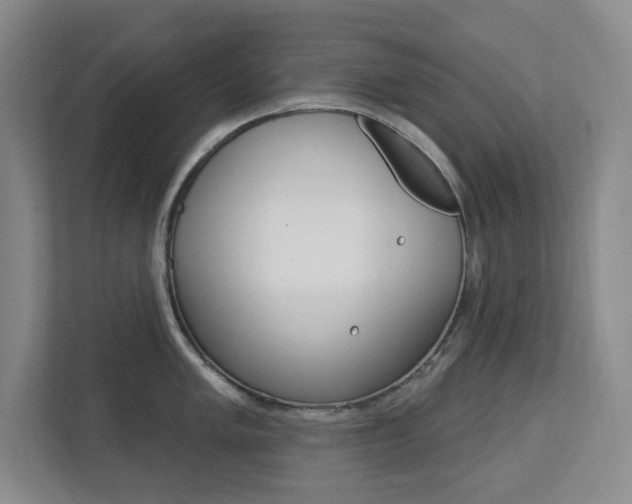 X0000112721005200908200943