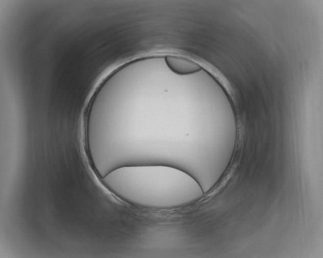 X0000112721006200908200943