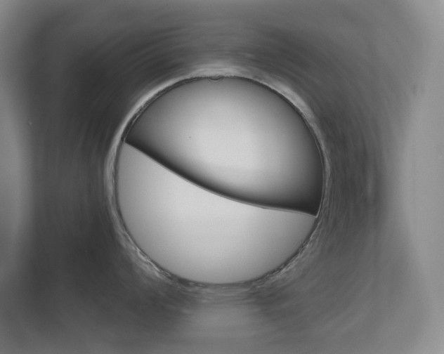 X0000112721008200908200943