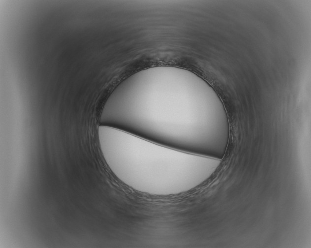 X0000112721010200908200942