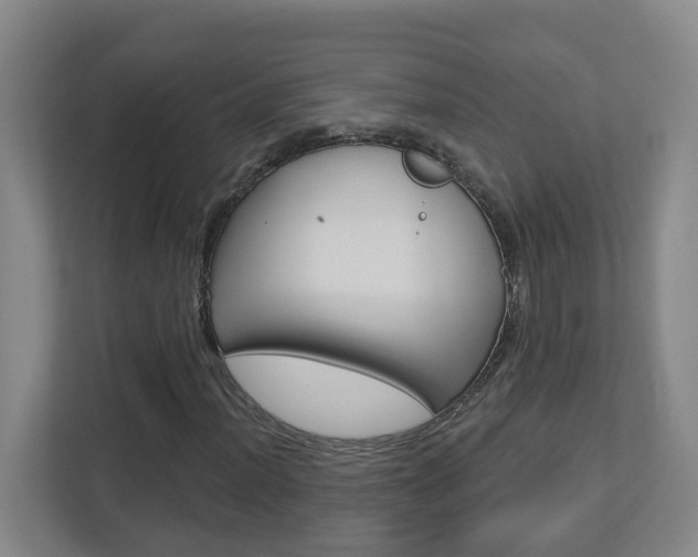 X0000112721012200908200942