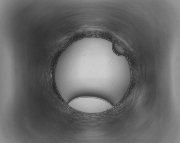 X0000112721013200908200942