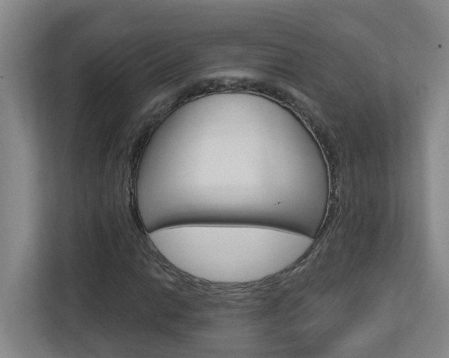 X0000112721014200908200942