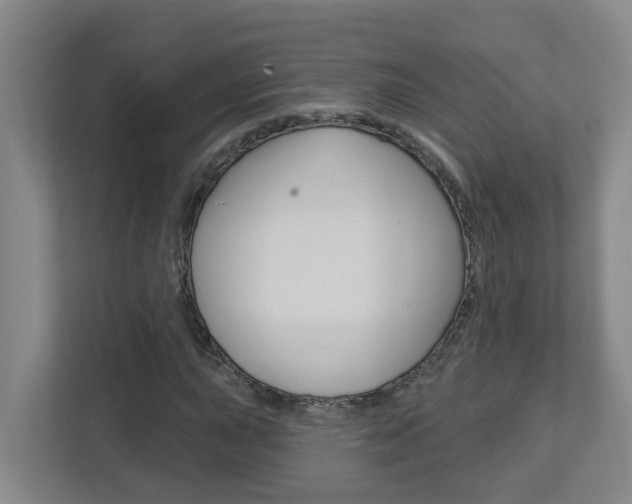 X0000112721015200908200942