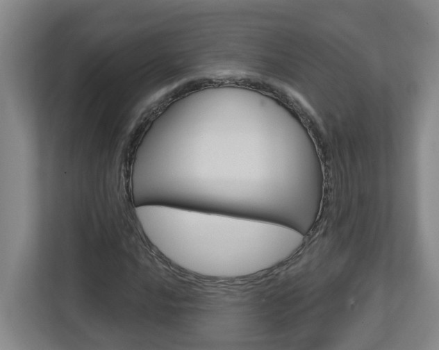 X0000112721016200908200942