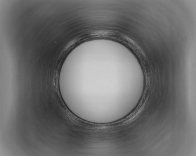 X0000112721017200908200942
