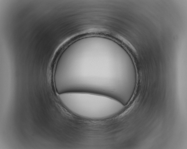 X0000112721021200908200942