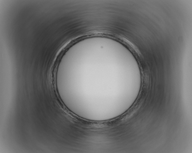 X0000112721023200908200942