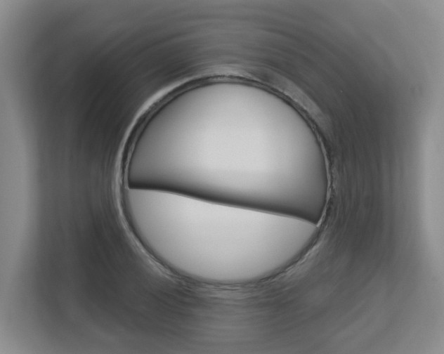 X0000112721028200908200942