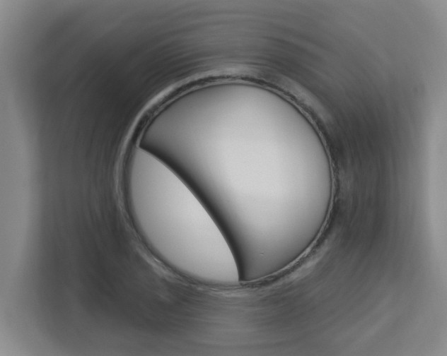 X0000112721029200908200942
