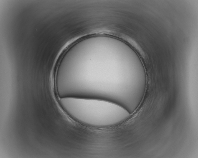 X0000112721032200908200942