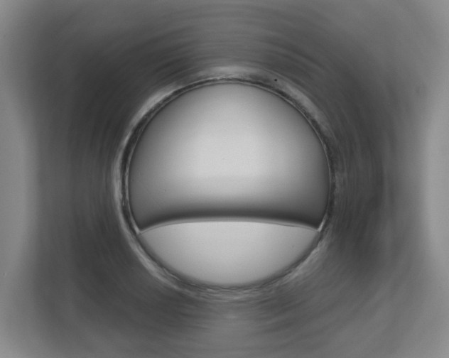 X0000112721034200908200942