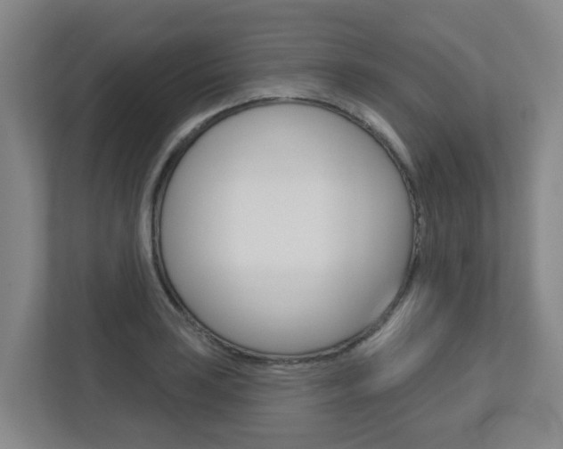 X0000112721035200908200942