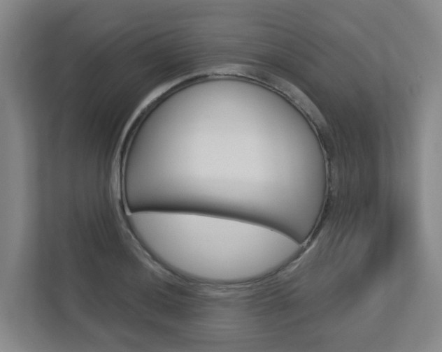 X0000112721036200908200942