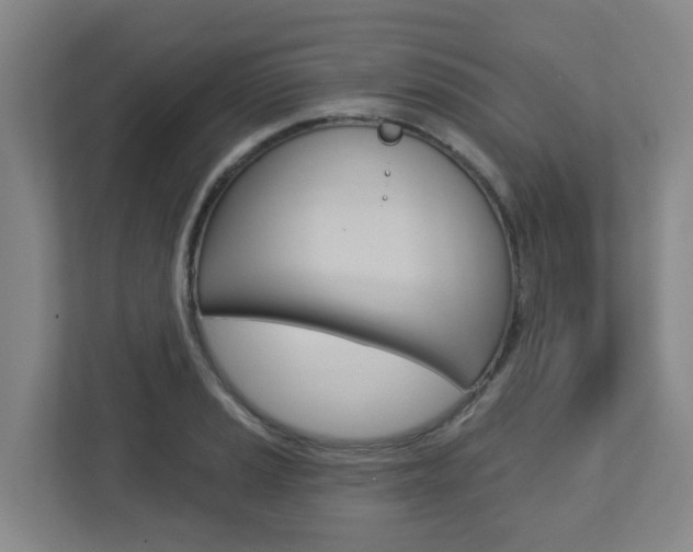 X0000112721037200908200942