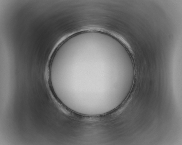 X0000112721040200908200942