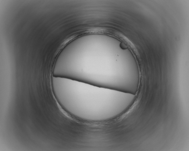 X0000112721041200908200942