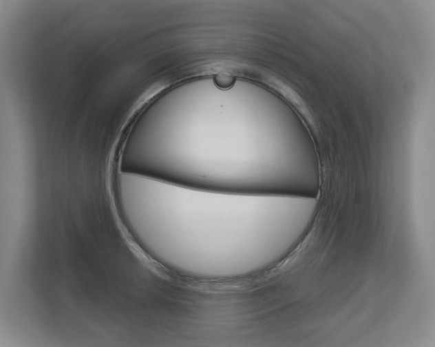 X0000112721042200908200942