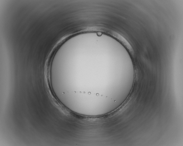 X0000112721043200908200942