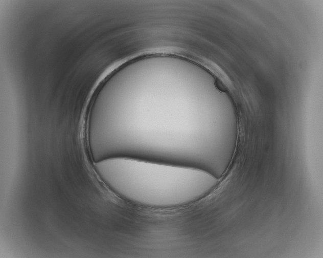 X0000112721044200908200942