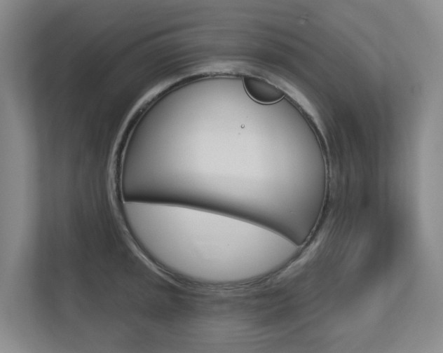 X0000112721045200908200942