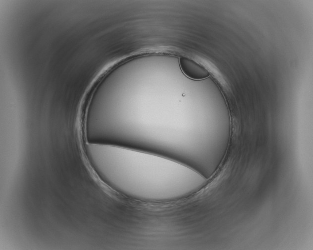 X0000112721046200908200942