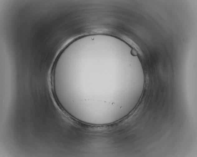 X0000112721047200908200942
