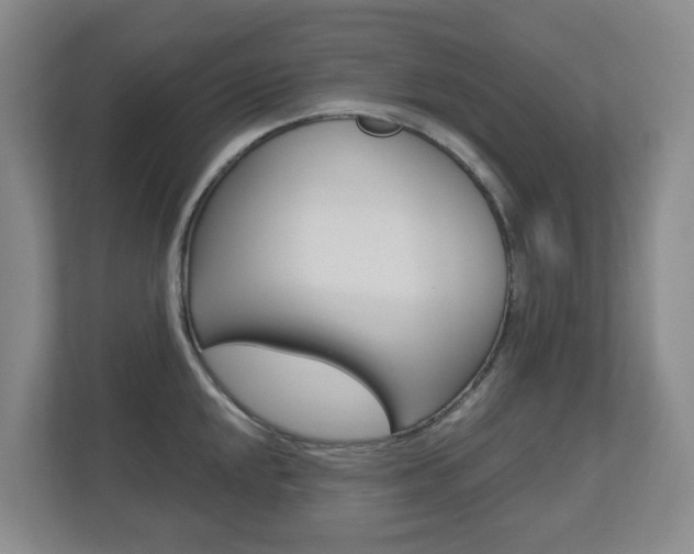 X0000112721048200908200943