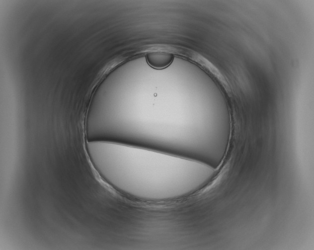 X0000112721049200908200943