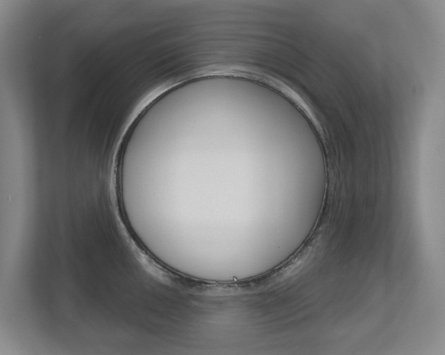 X0000112721050200908200943