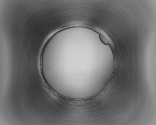 X0000112721051200908200943