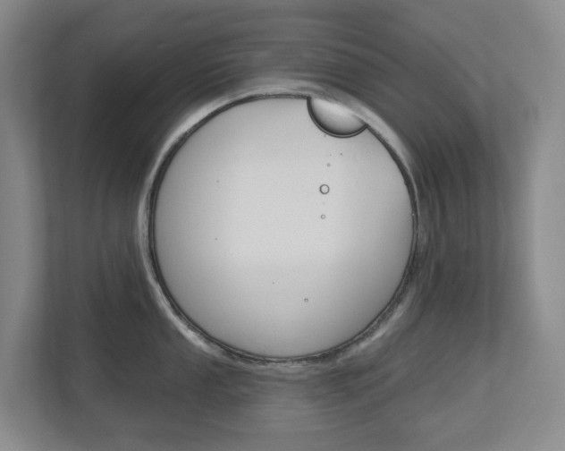 X0000112721053200908200943